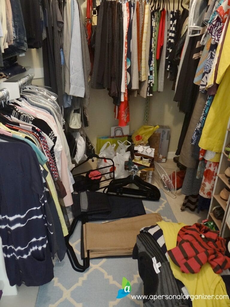A densely packed walk-in closet with clothes hung on racks on both sides. Despite a few empty hangers scattered on the floor, efforts to maintain a clutter-free space are evident. Shelving units hold more clothes, shoes, and bags, all neatly arranged above a light blue rug covering the floor.