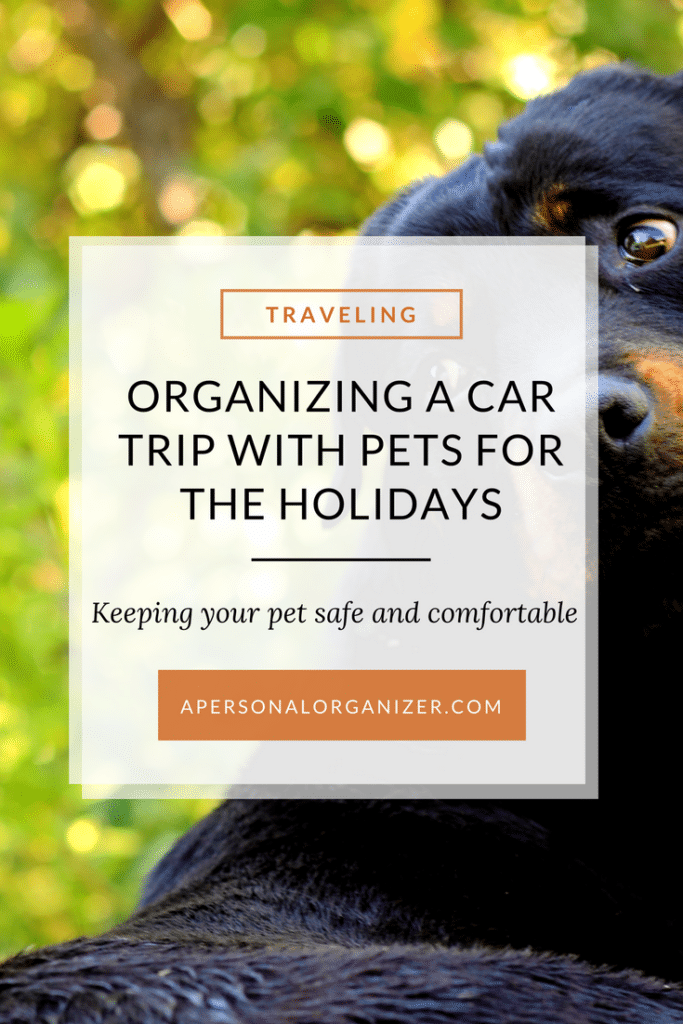 A flyer titled "Traveling With Your Pet for the Holidays" features a close-up of a black dog with a blurred green background. The flyer includes a subheading, "Keeping your pet safe and comfortable," and a website link, "apersonalorganizer.com.
