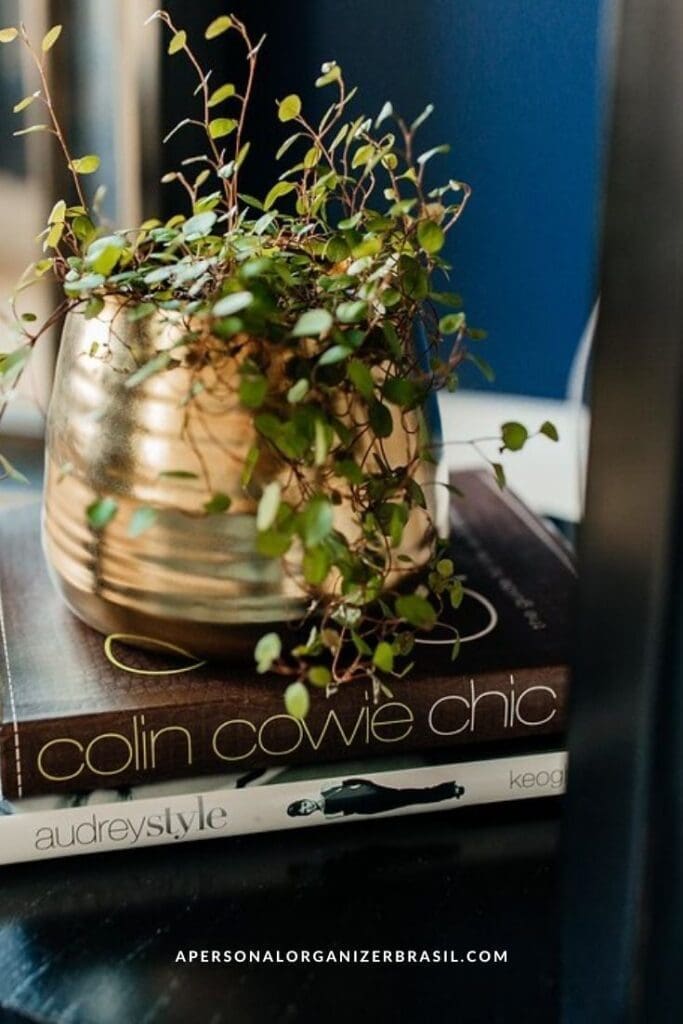 Como Organizar a Sala de Estar. Como criar um ambiente lindo, organizado e fácil de limpar com tudo o que você ama! Baixe os Checklists! A small potted plant with trailing vines sits atop two stacked books, "Colin Cowie Chic" and "Audrey Style," on a dark surface—a chic touch for those seeking inspiration on como organizar a sala de estar. The gold textured pot adds elegance.