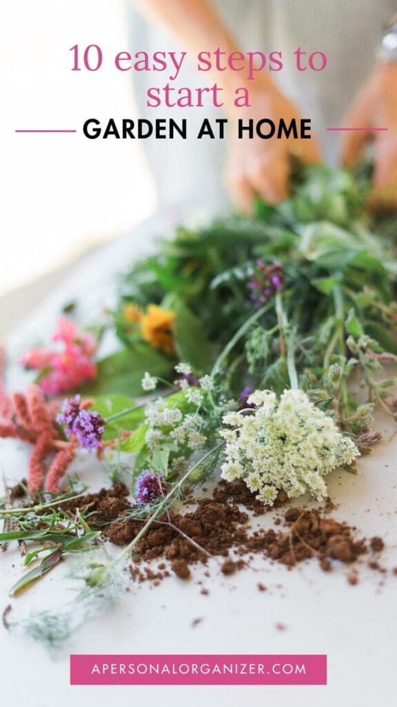 10 Easy Steps To Start A Garden At Home