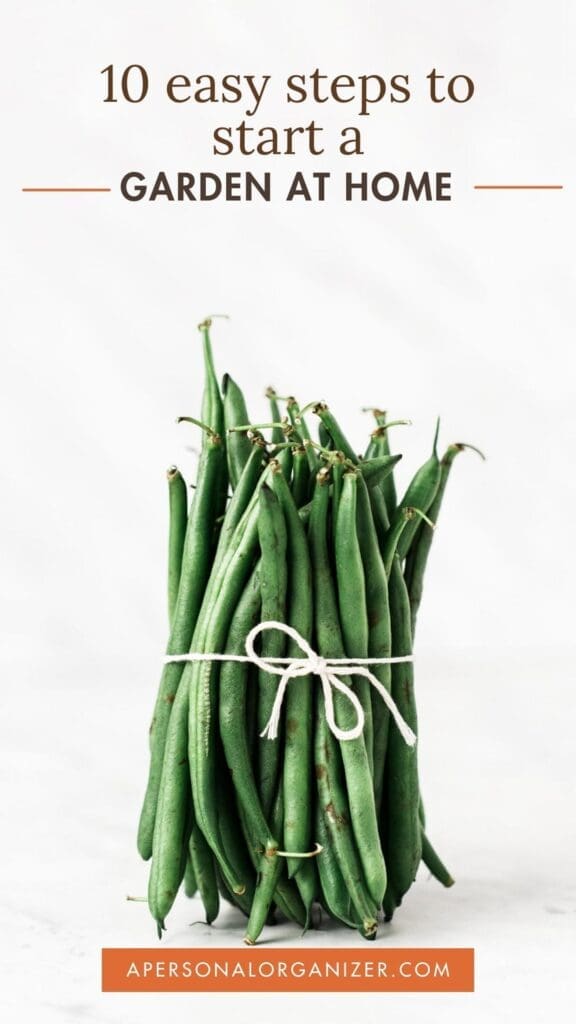 10 Easy Steps To Start A Garden At Home