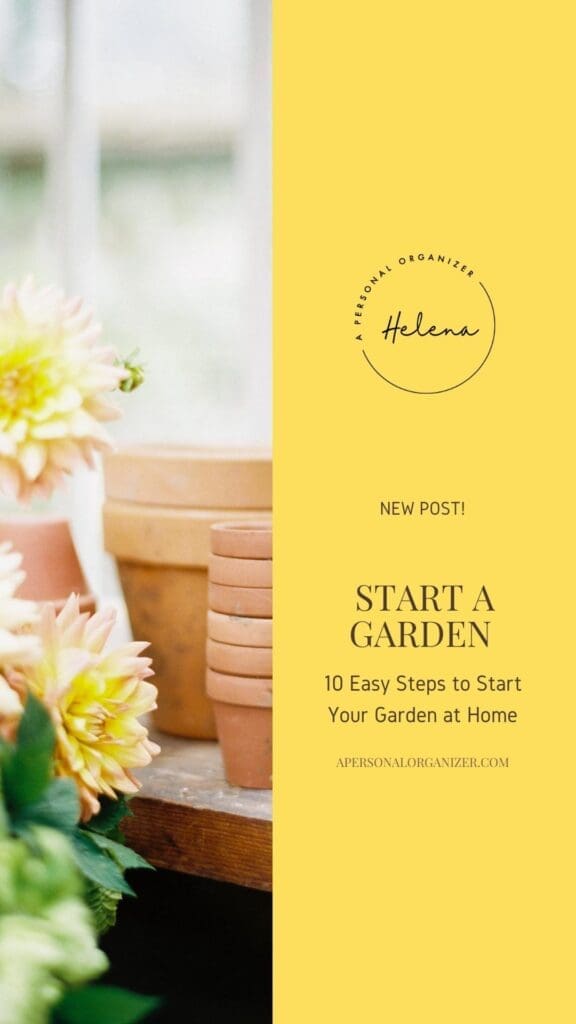 10 Easy Steps To Start A Garden At Home