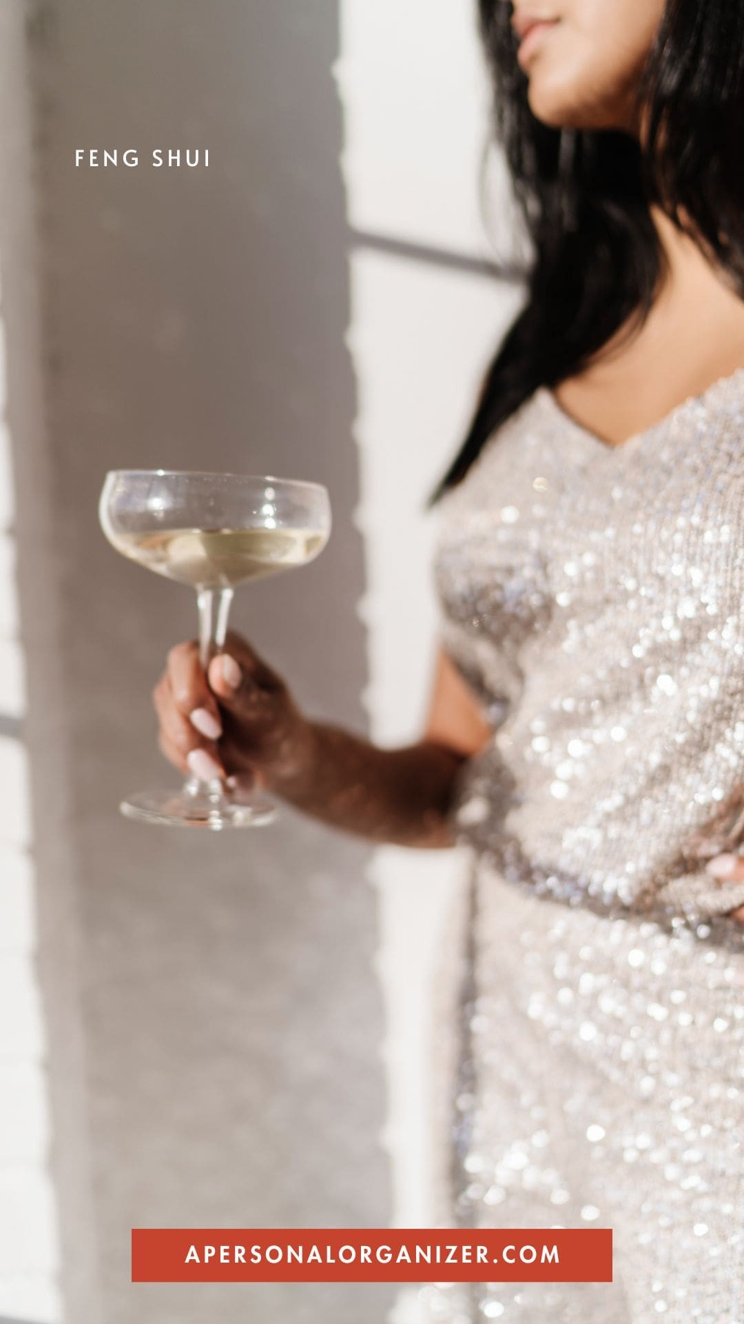 9 Steps to Feng Shui Your New Year!