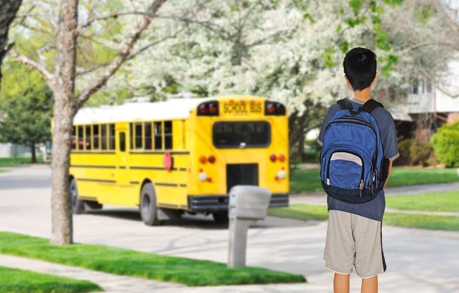 A child wearing a blue backpack stands on the sidewalk, facing away from the camera, looking at a yellow school bus on a suburban street. The scene is bright and lush with greenery and blooming trees, showcasing the perfect kids wardrobe for a sunny school day.