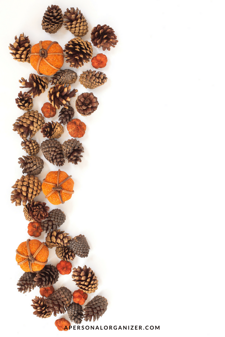 A collection of pinecones, small orange pumpkins, and other autumn decorations arranged vertically on the left side of a white background, with ample empty space on the right. Perfect for preparing your home for fall. At the bottom, the text "APERSONALORGANIZER.COM" is visible in small font.