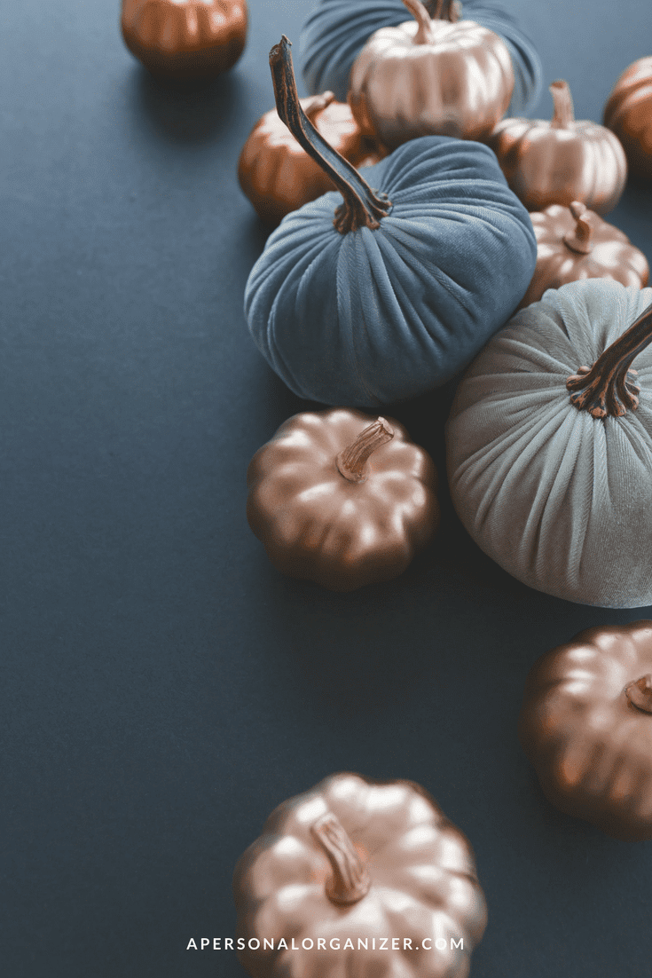 A collection of velvet and metallic pumpkins arranged on a dark surface. The velvet pumpkins are in shades of blue and gray, while the metallic pumpkins have a bronze finish. The pumpkins are grouped together, creating a stylish Thanksgiving fall decoration.
