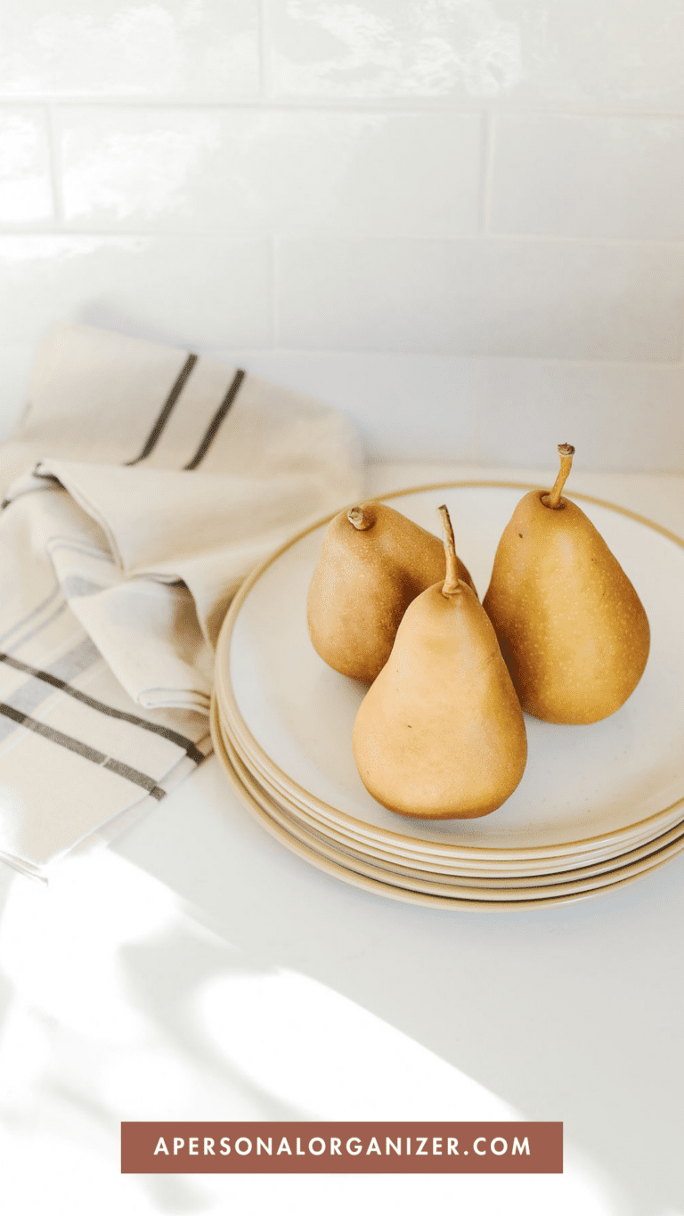 Planning Holiday Meals on a Budget - Blog