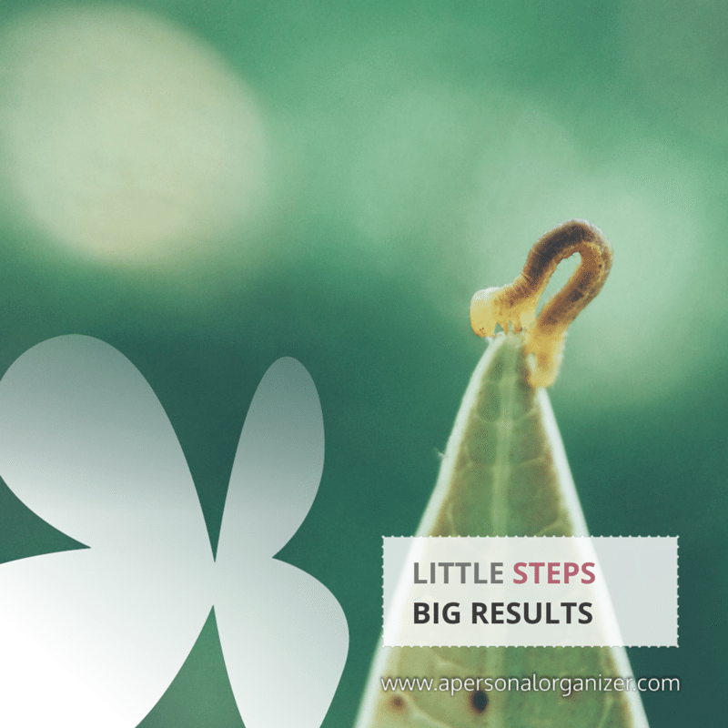 A small worm stands upright on the tip of a green leaf against a blurry green background. Text reads: "LITTLE STEPS BIG RESULTS". A white butterfly figure and the website "www.apersonalorganizer.com" are also present, offering motivation to organize your spaces.