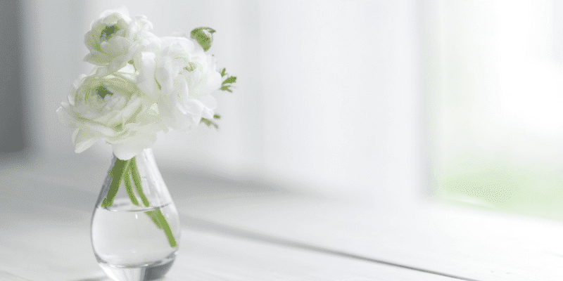 Flowers Making life Soothing.