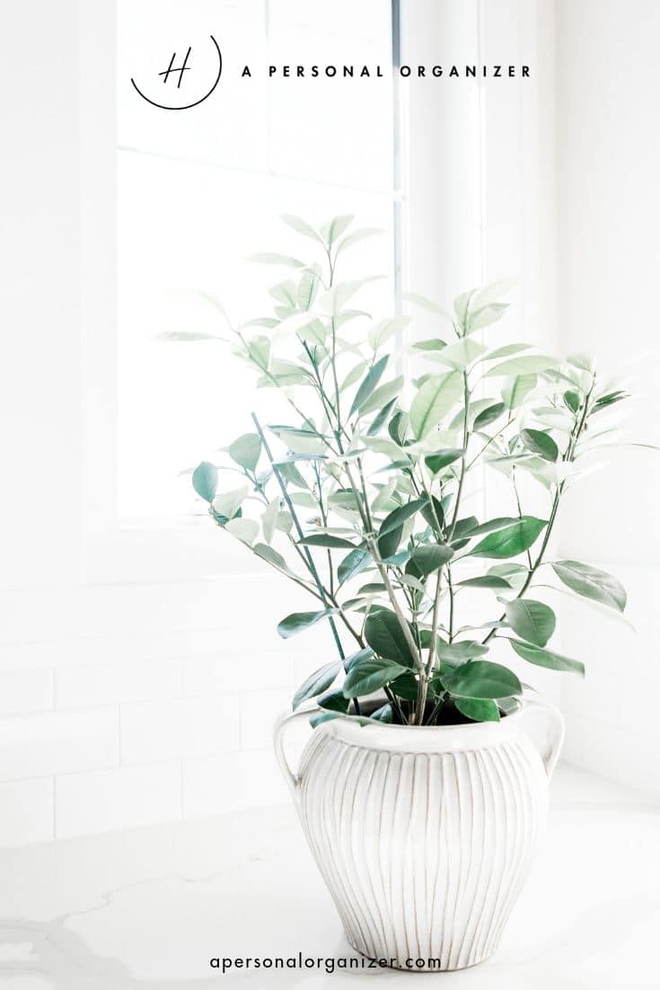 6 Ways your clutter is affecting you 1 - apersonalorganizer
