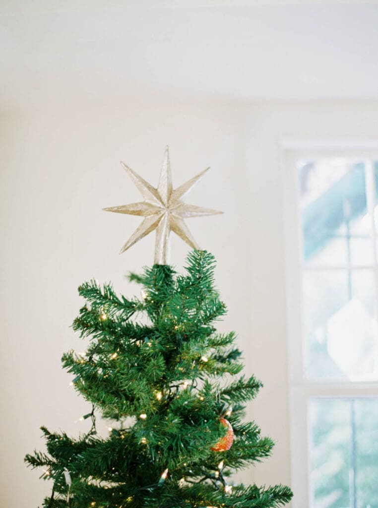 A Christmas tree, expertly organizing lights and a red ornament beneath a gleaming star topper, stands majestically in front of a bright window.