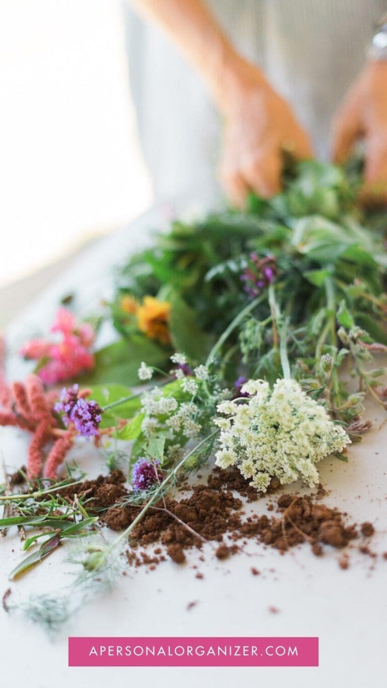 10 Easy Steps To Start A Garden At Home