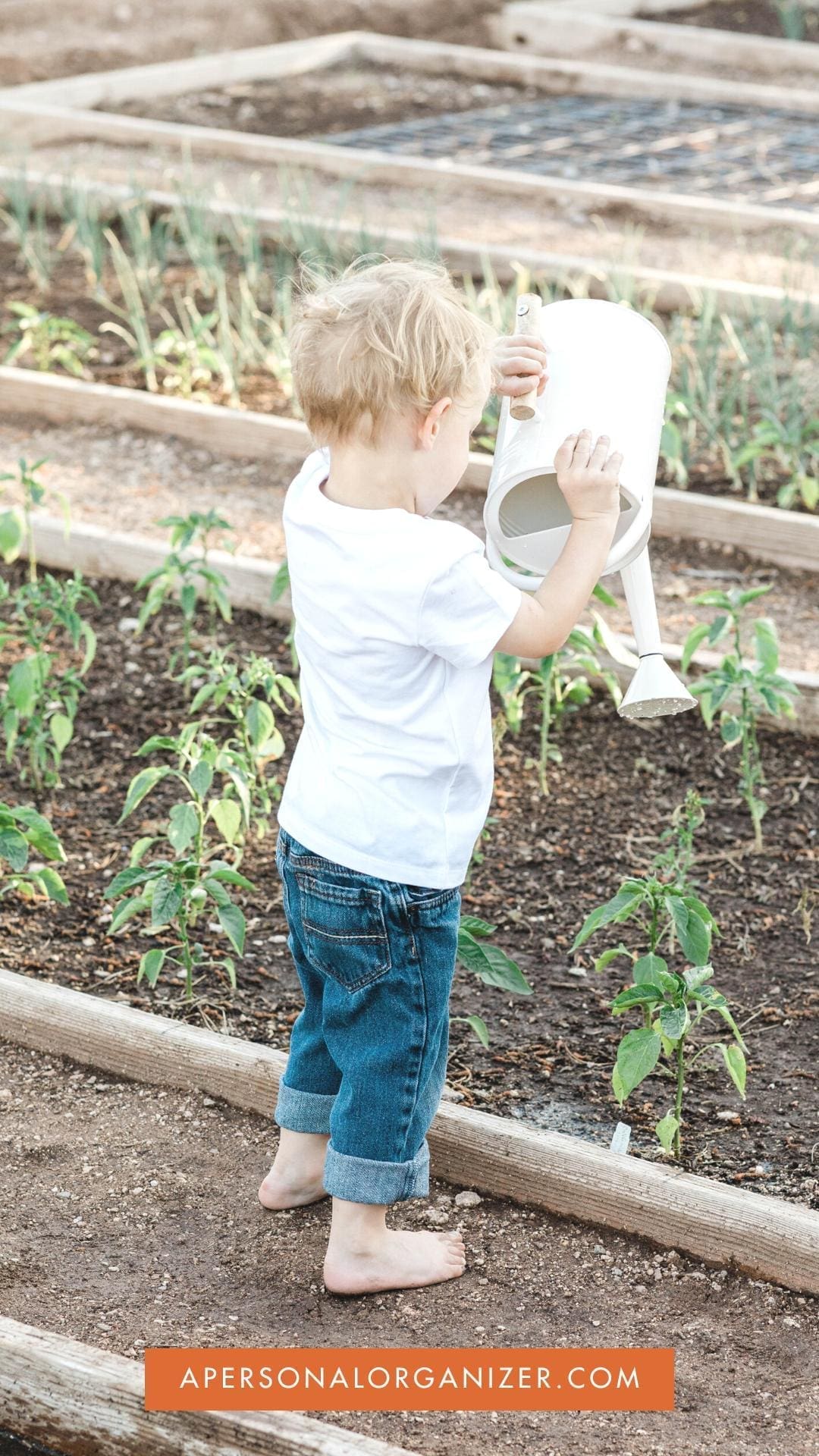 8 Tips To Get Your Kids Enjoy Home Gardening