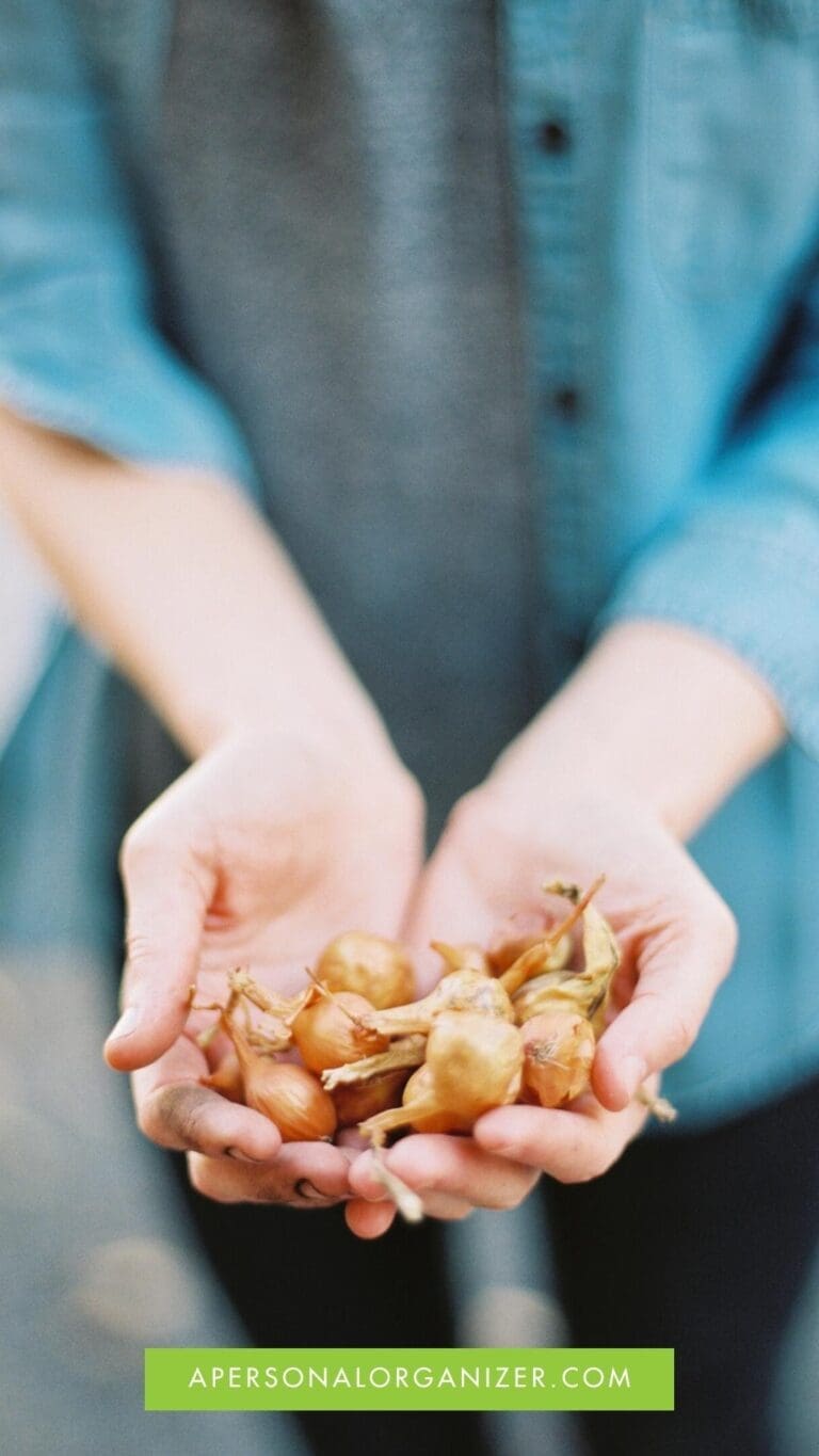 Preparing for Gardening Season - What to do, When, and What Not to Miss